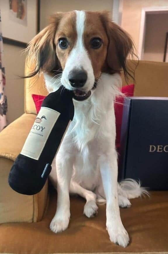 デコピン（大谷選手のインスタグラムより）