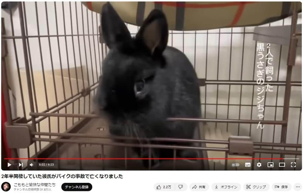 YouTubeチャンネル「こももと愉快な仲間たち」で2024年4月22日に公開された動画より