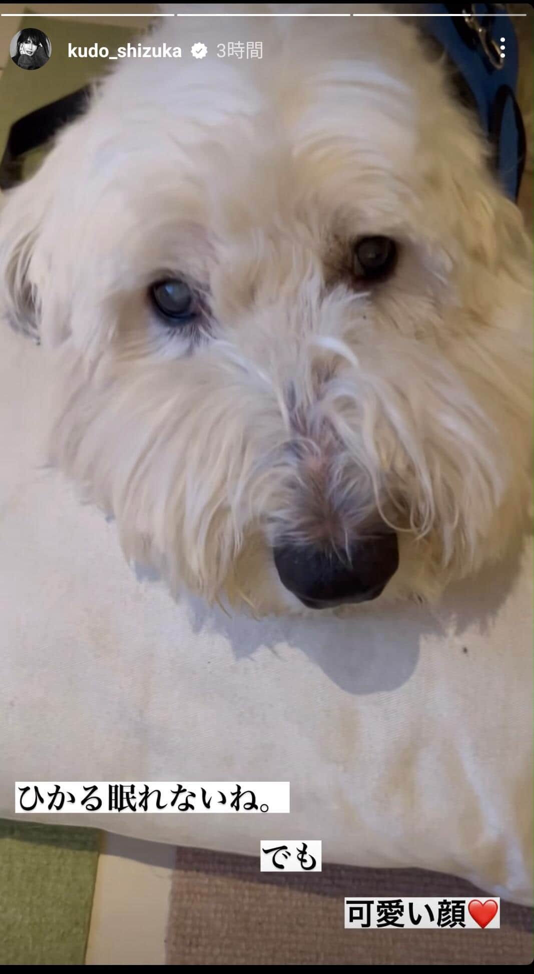 工藤静香さんのインスタグラムより