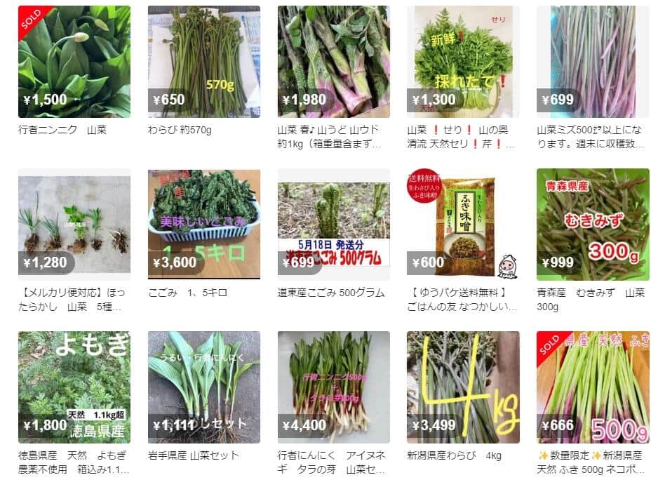 メルカリで販売されている「山菜」のカテゴリ