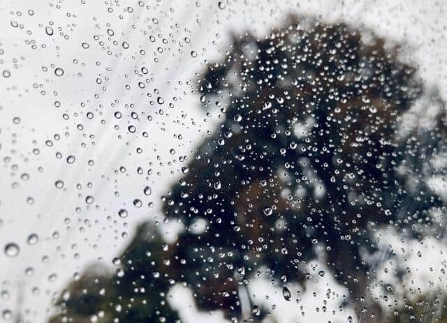 台風がやって来る！　2024年もやっておきたい大切な「8つのポイント」