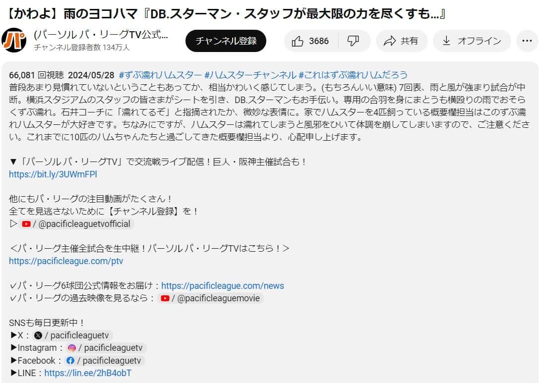 DB.スターマンを心配する概要欄（パーソル パ・リーグTV公式より）