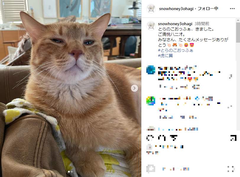 石田ゆり子さんのインスタグラム（＠snowhoney3ohagi）より