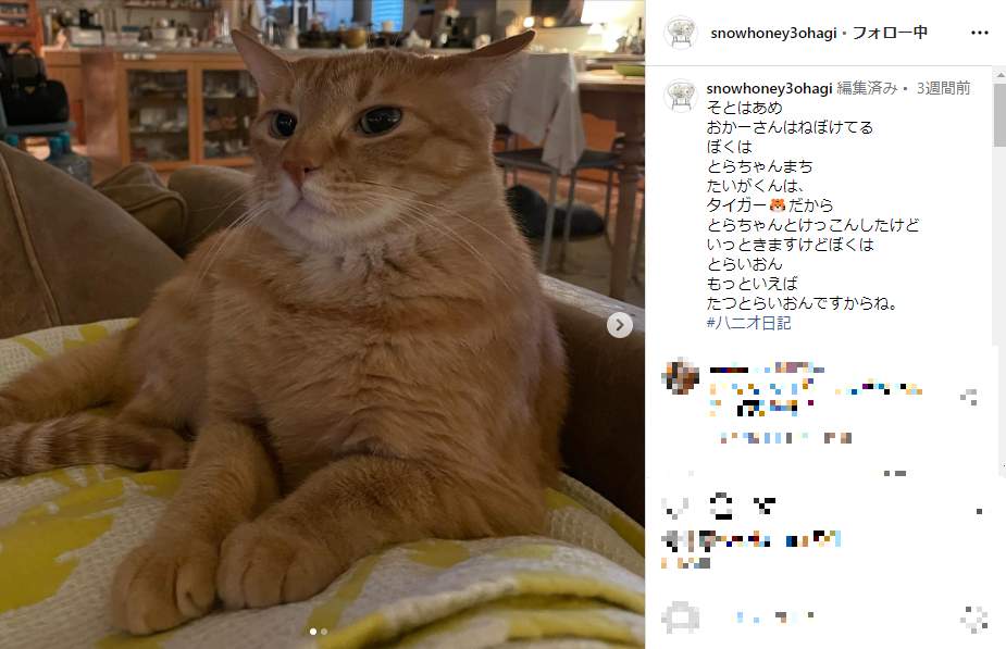 石田ゆり子さんのインスタグラム（＠snowhoney3ohagi）より