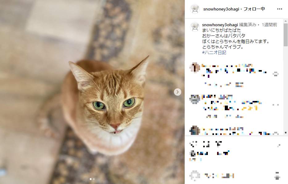 石田ゆり子さんのインスタグラム（＠snowhoney3ohagi）より