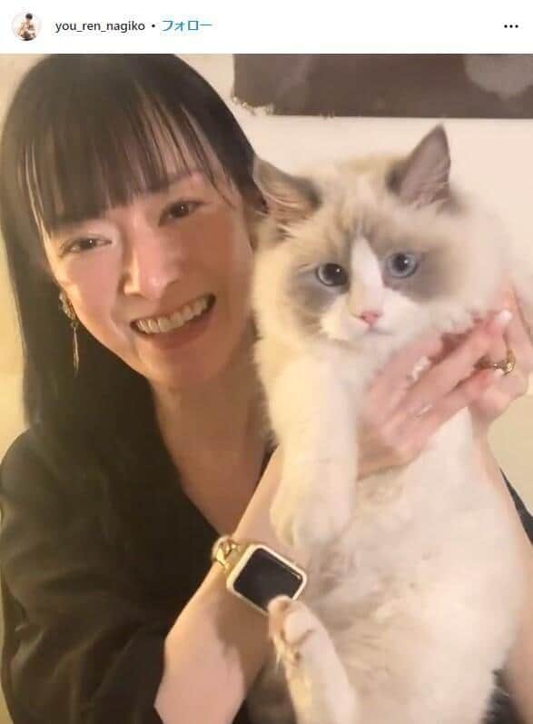 遠野なぎこ、アンチコメントで被害届提出を検討　「怯えて待っていればいい。証拠は揃っているのだから」