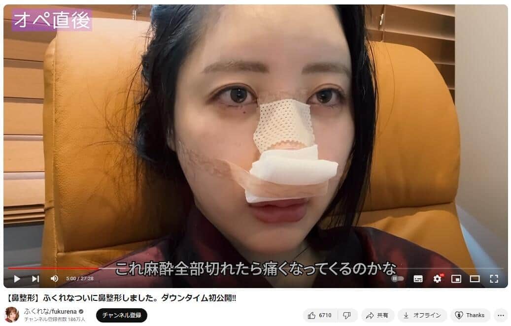 YouTubeチャンネル「ふくれな/fukurena」で2024年6月17日に公開された動画より