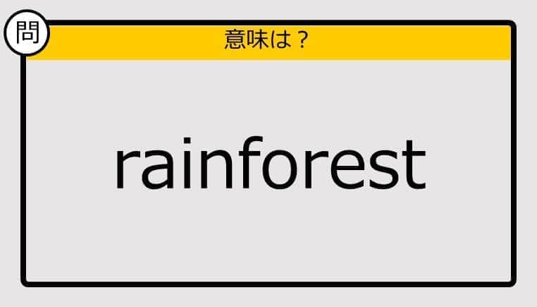 【大人の英語テスト】rainforest《この単語の意味は？》