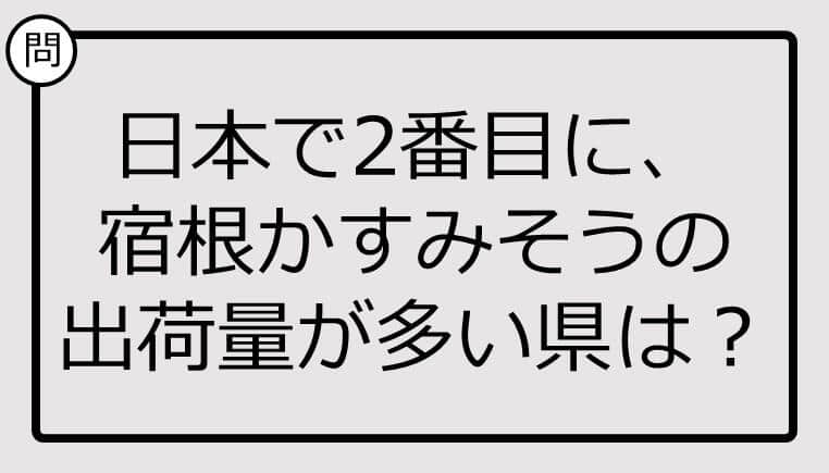 日本で2番目に、宿根かすみそうの出荷量が多い県は？【雑学クイズ】