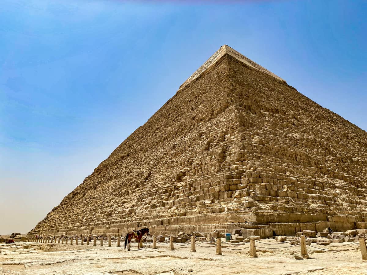 フィフィ、エジプトでおにぎり握ったら　「ふざけていると思われた」