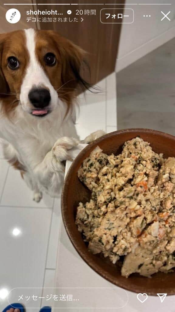 大谷翔平選手のインスタグラム（＠shoheiohtani）より