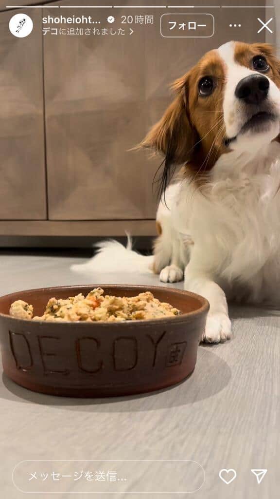 大谷翔平選手のインスタグラム（＠shoheiohtani）より