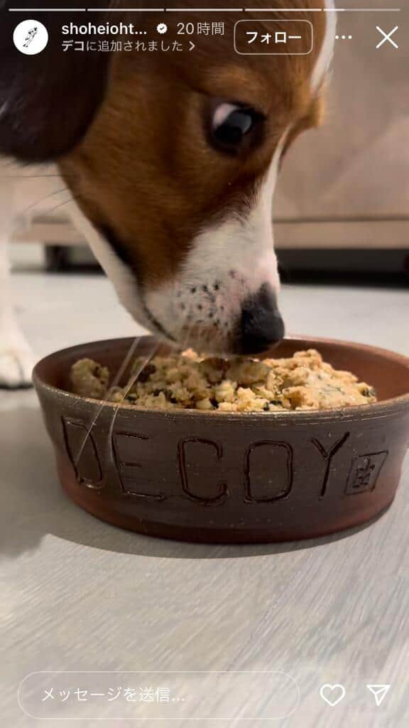 大谷翔平選手のインスタグラム（＠shoheiohtani）より