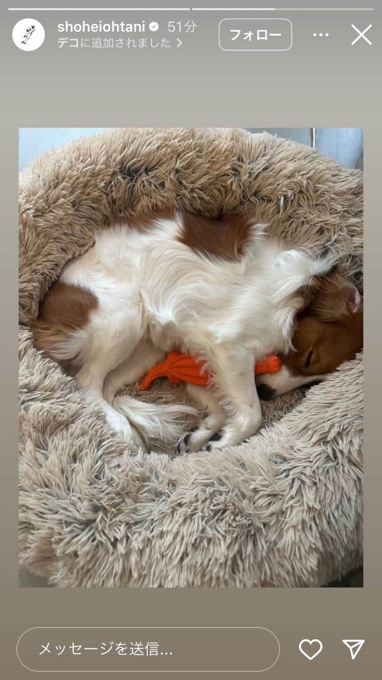 大谷翔平選手のインスタグラム（＠shoheiohtani）より