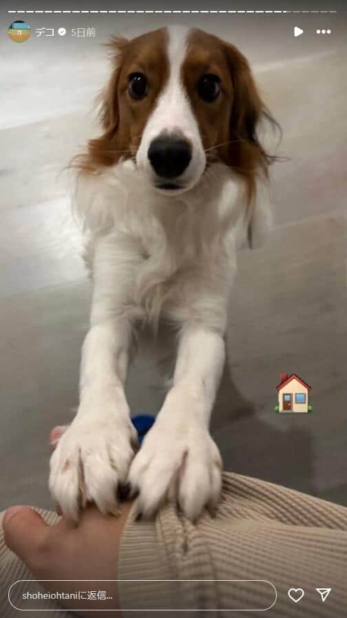 大谷翔平選手のインスタグラム（＠shoheiohtani）より