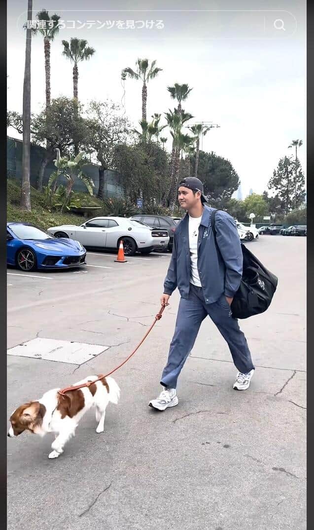 ロサンゼルス・ドジャースのTikTok（＠dodgers）より