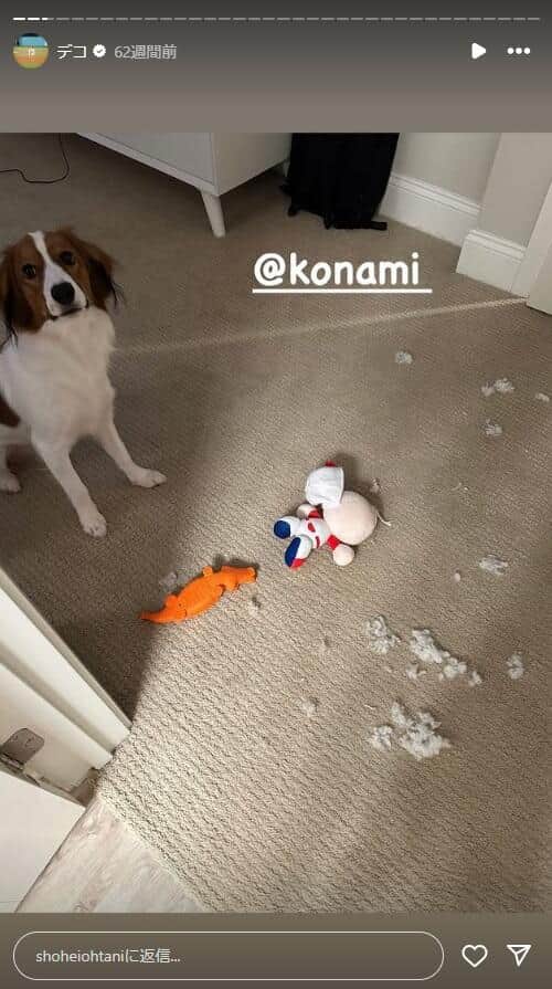 大谷翔平選手のインスタグラム（＠shoheiohtani）より