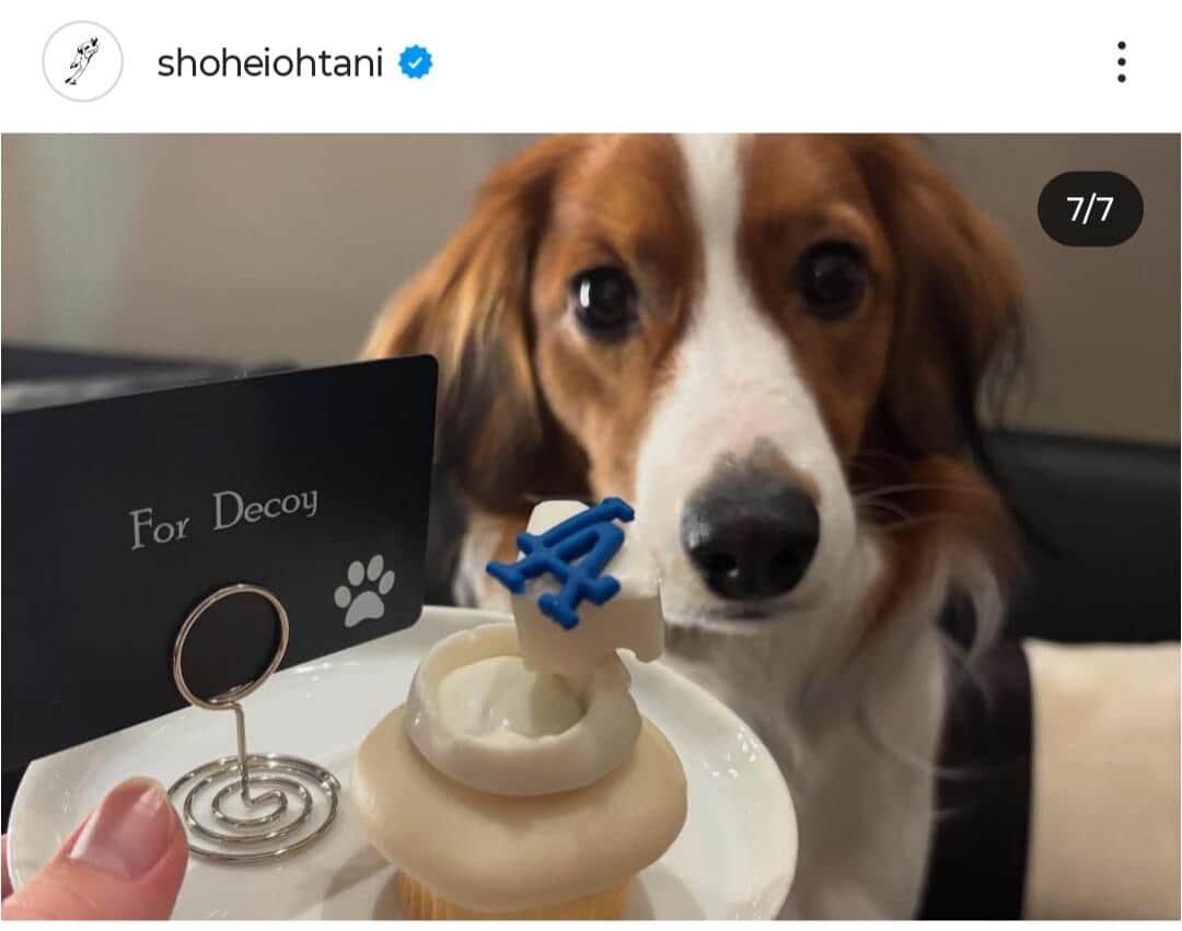 大谷翔平選手のインスタグラム（＠shoheiohtani）より