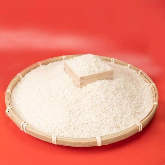 備蓄米放出でもコメの価格が下がらない　ご飯の代わりに安くて健康になる乗り切り方伝授