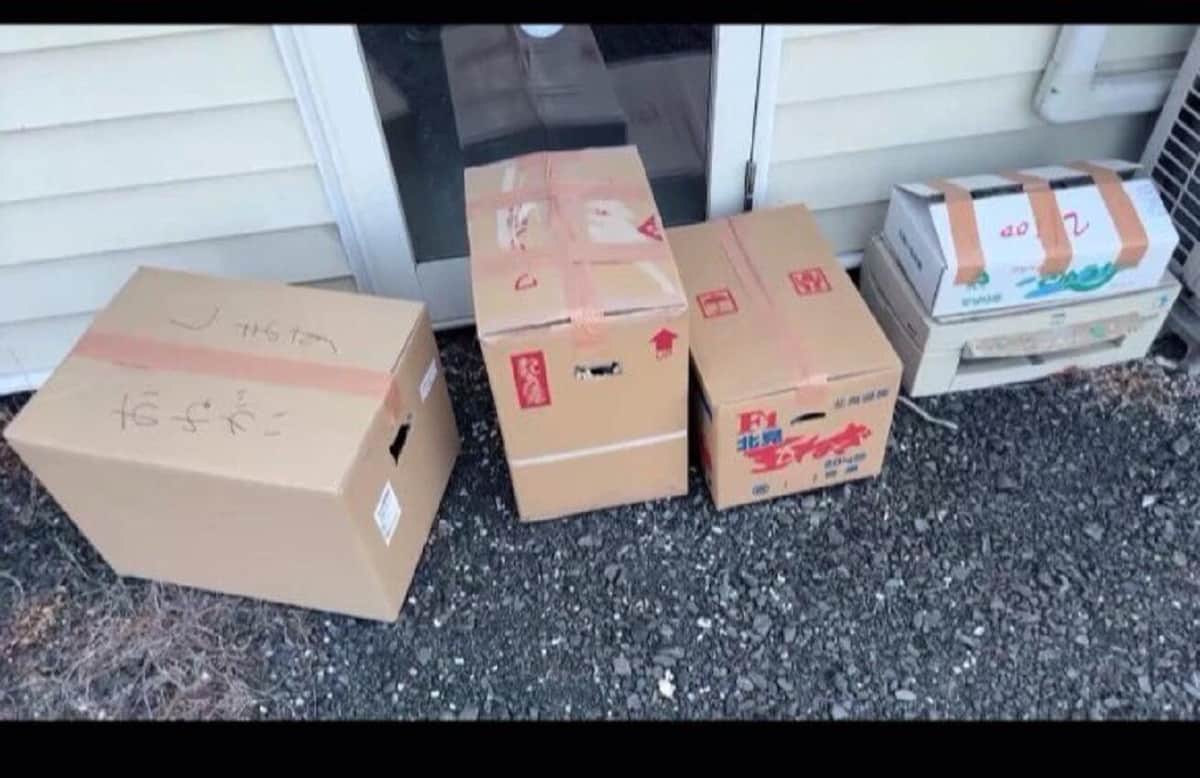 「早めに名乗り出て」愛知の保護猫カフェ、店舗前の捨て猫に怒り　警察とも連携、「飼い主特定で抑止力に」