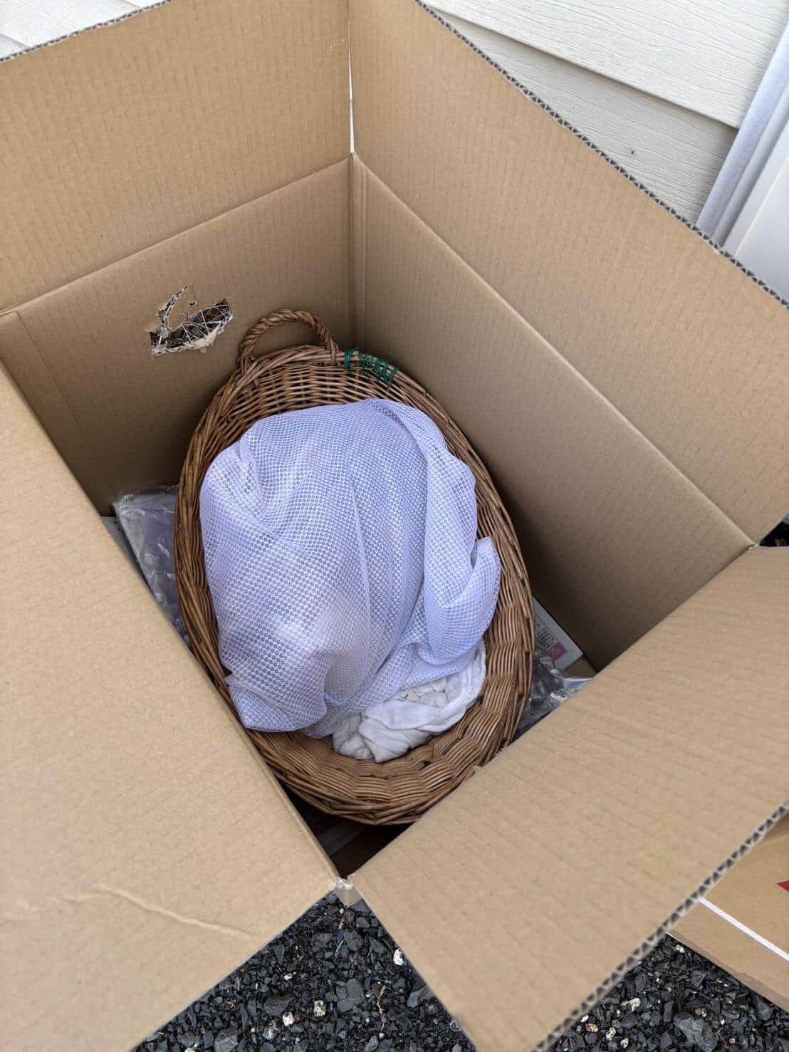 洗濯ネットに入れられたネコ（写真は、tormenta提供）