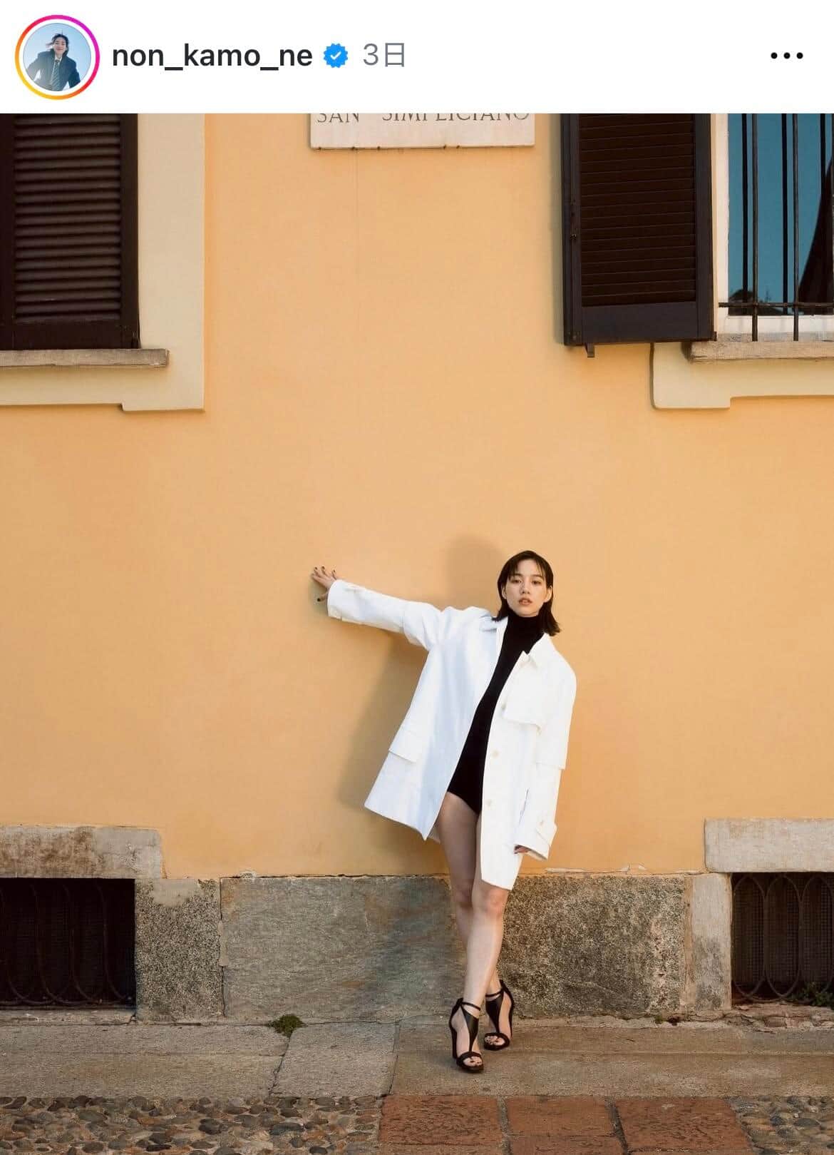 のんさんのインスタグラム（＠non_kamo_ne）より