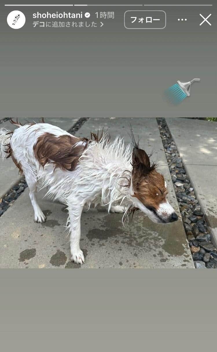 大谷翔平選手のインスタグラム（＠shoheiohtani）より
