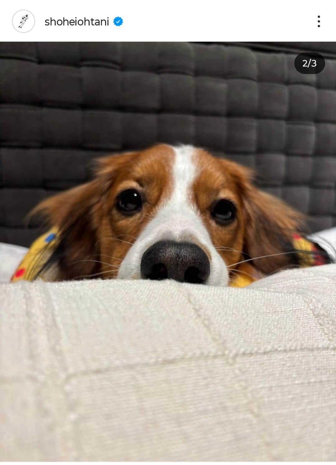 大谷翔平選手のインスタグラム（＠shoheiohtani）より