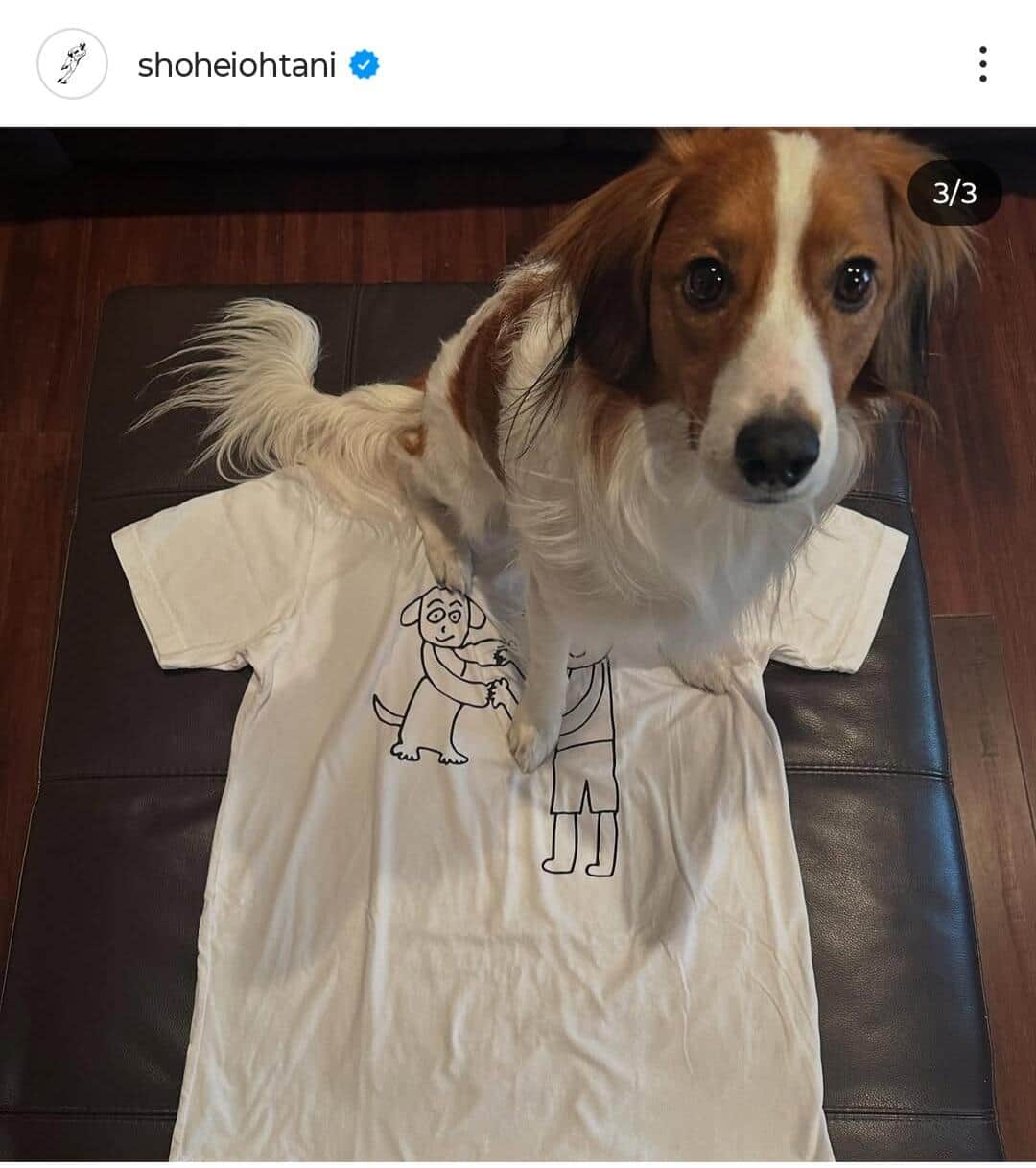 大谷翔平選手のインスタグラム（＠shoheiohtani）より