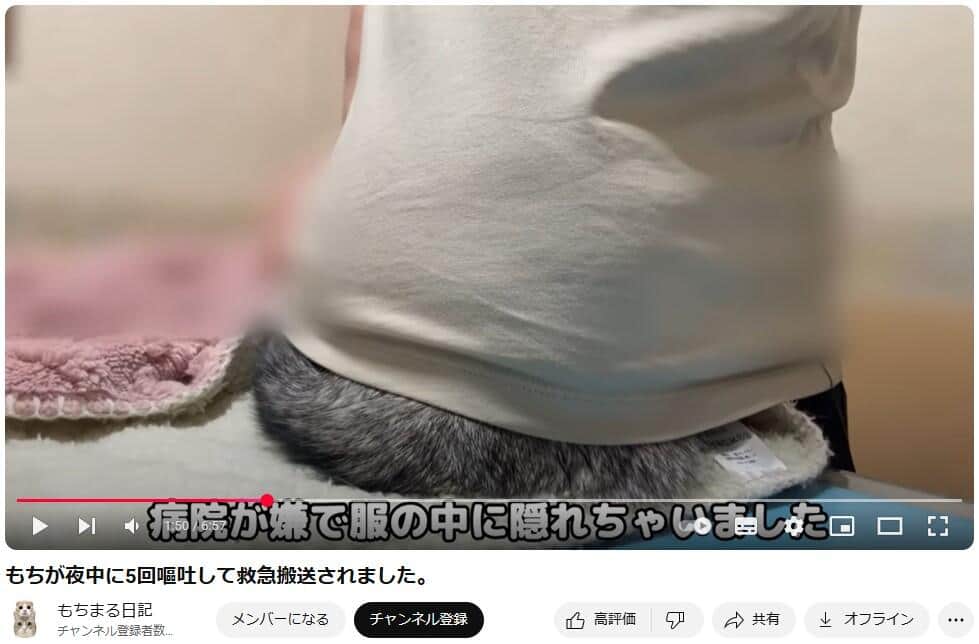 YouTubeチャンネル「もちまる日記」で2025年4月17日に公開された動画より