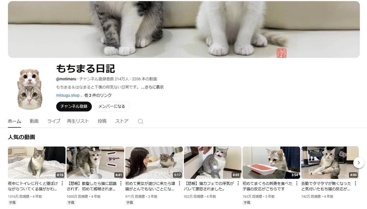 YouTubeチャンネル「もちまる日記」より