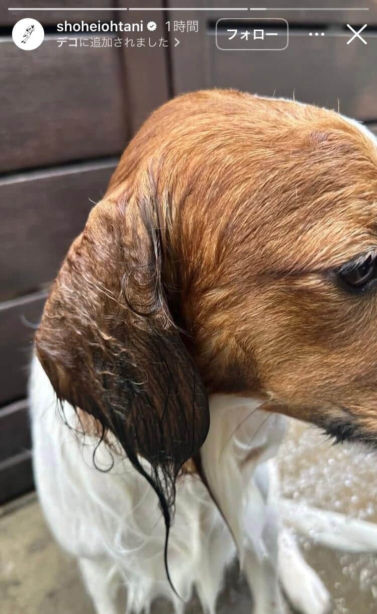 大谷翔平選手のインスタグラム（＠shoheiohtani）より