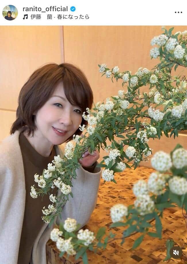 伊藤蘭さんのインスタグラム（＠ranito_official）より