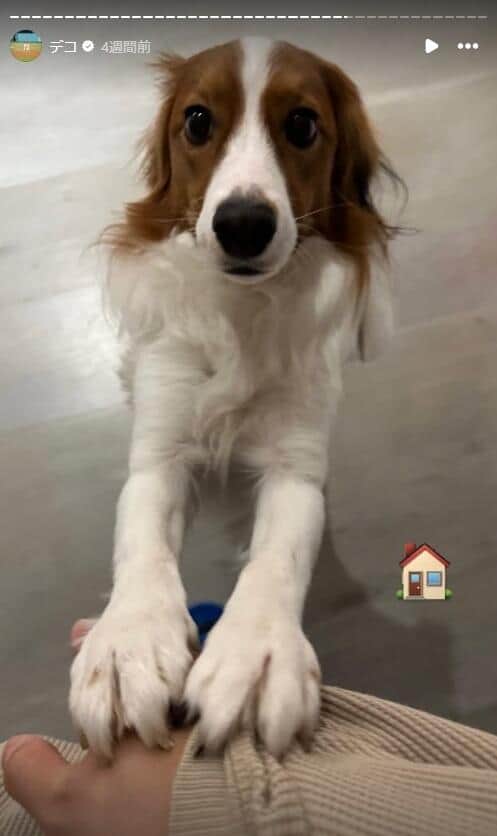 大谷翔平選手のインスタグラム（＠shoheiohtani）より