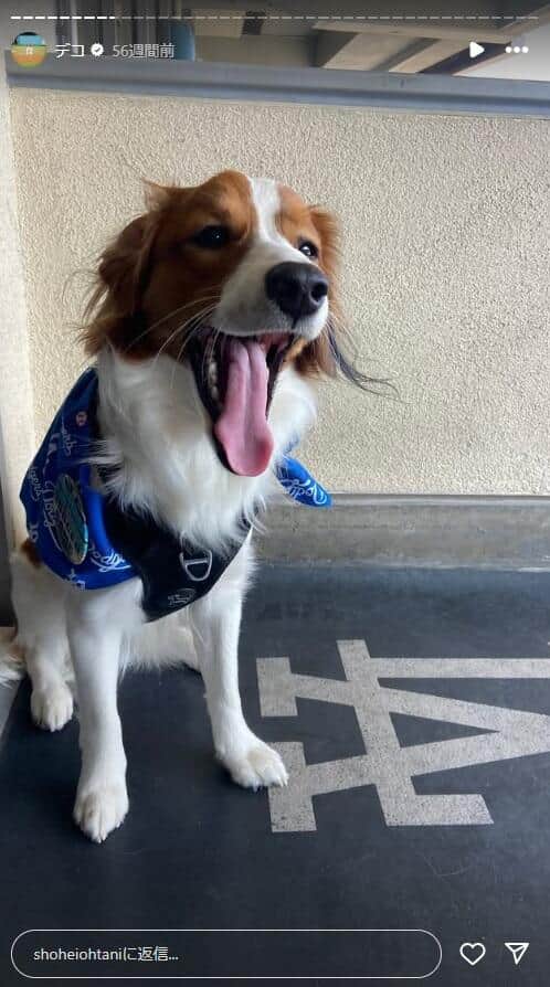 大谷翔平選手のインスタグラム（＠shoheiohtani）より