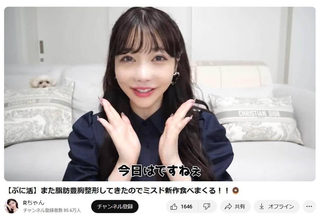 RちゃんのYouTubeチャンネルより