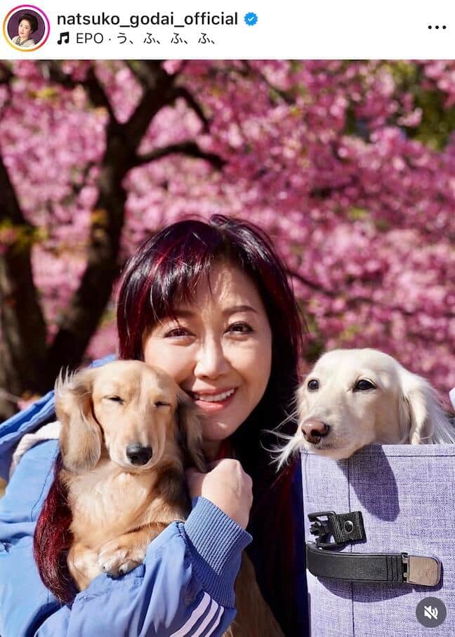 伍代夏子＆杉良太郎、愛犬とお揃いTシャツでラブラブショット披露　「ほっこり笑顔になります」