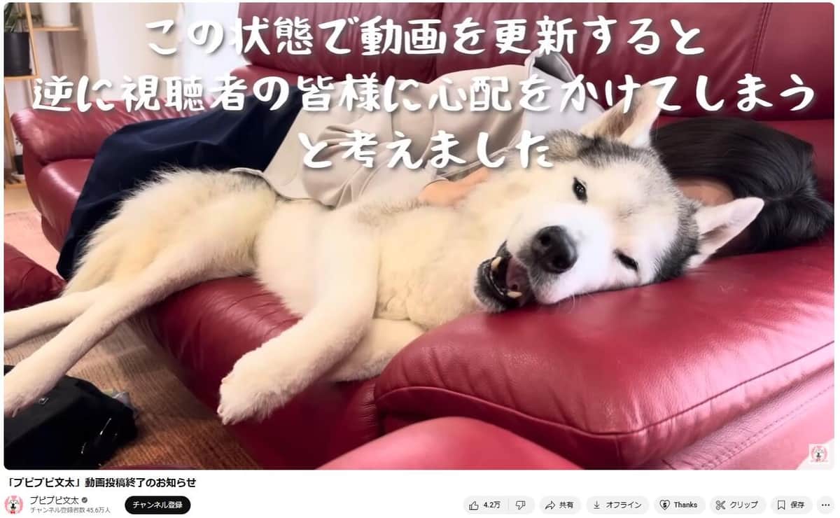 動画の更新を続けることで「逆に視聴者の皆様に心配をかけてしまう」と説明した