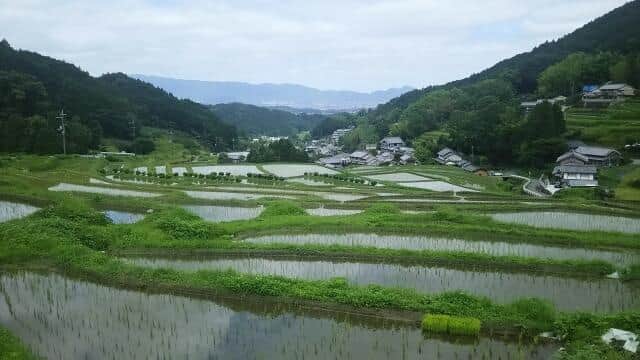 玉川徹「ちょっと待って！」羽鳥慎一「もう何回話してるんですか」　やり取りの末に意外な女性アナの名が