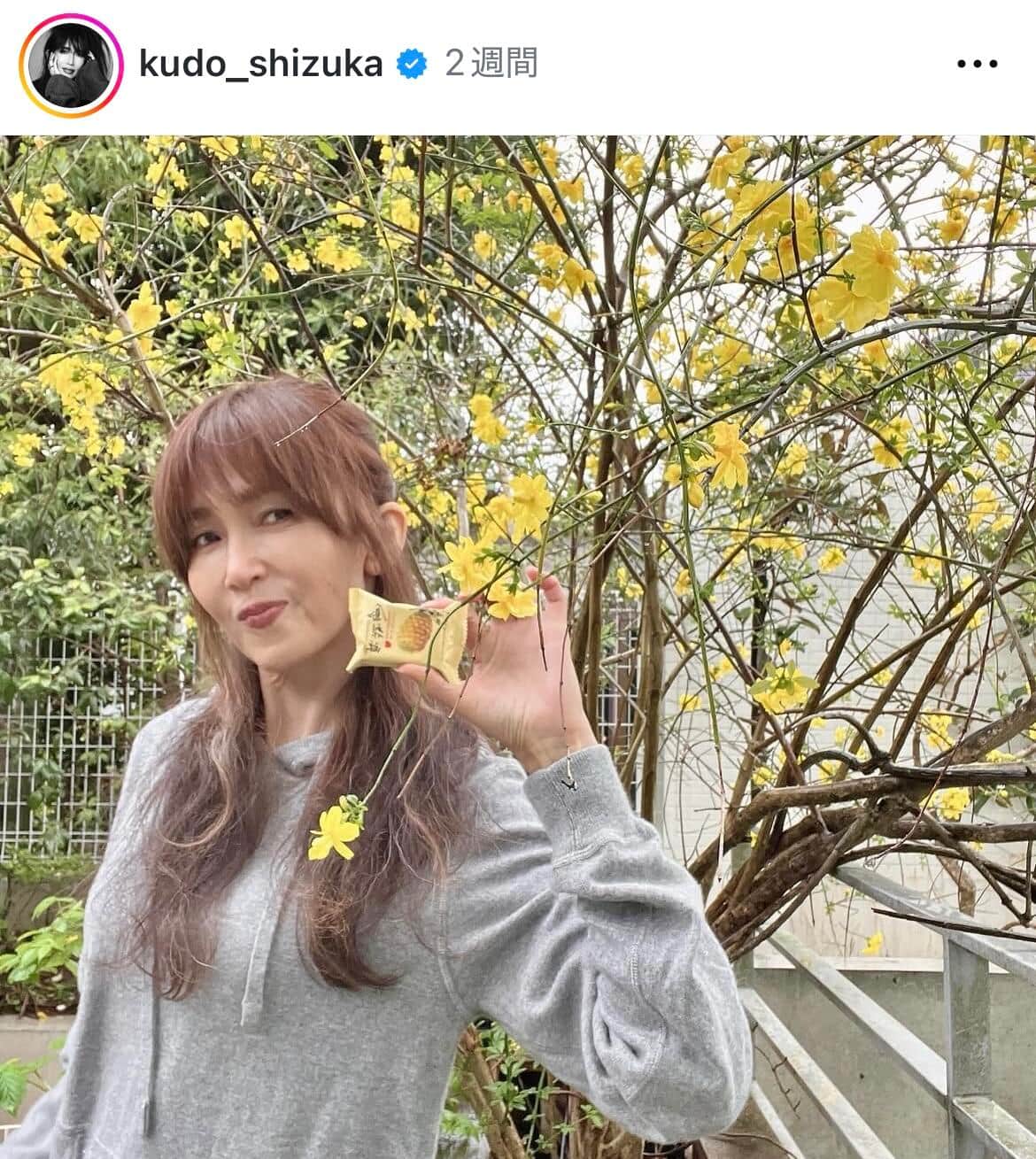 工藤静香さんのインスタグラム（＠kudo_shizuka）より