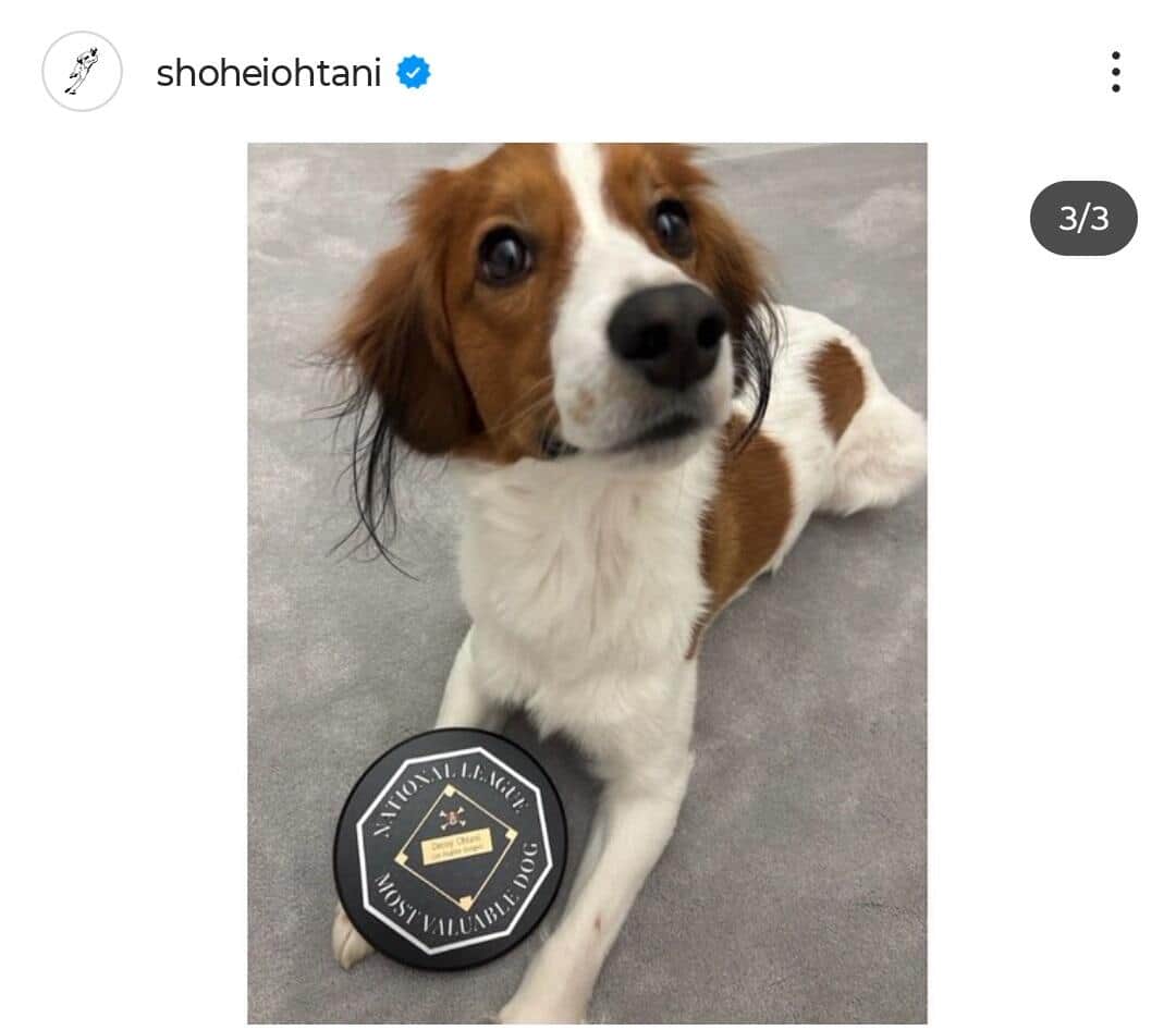 大谷翔平選手のインスタグラム（＠shoheiohtani）より