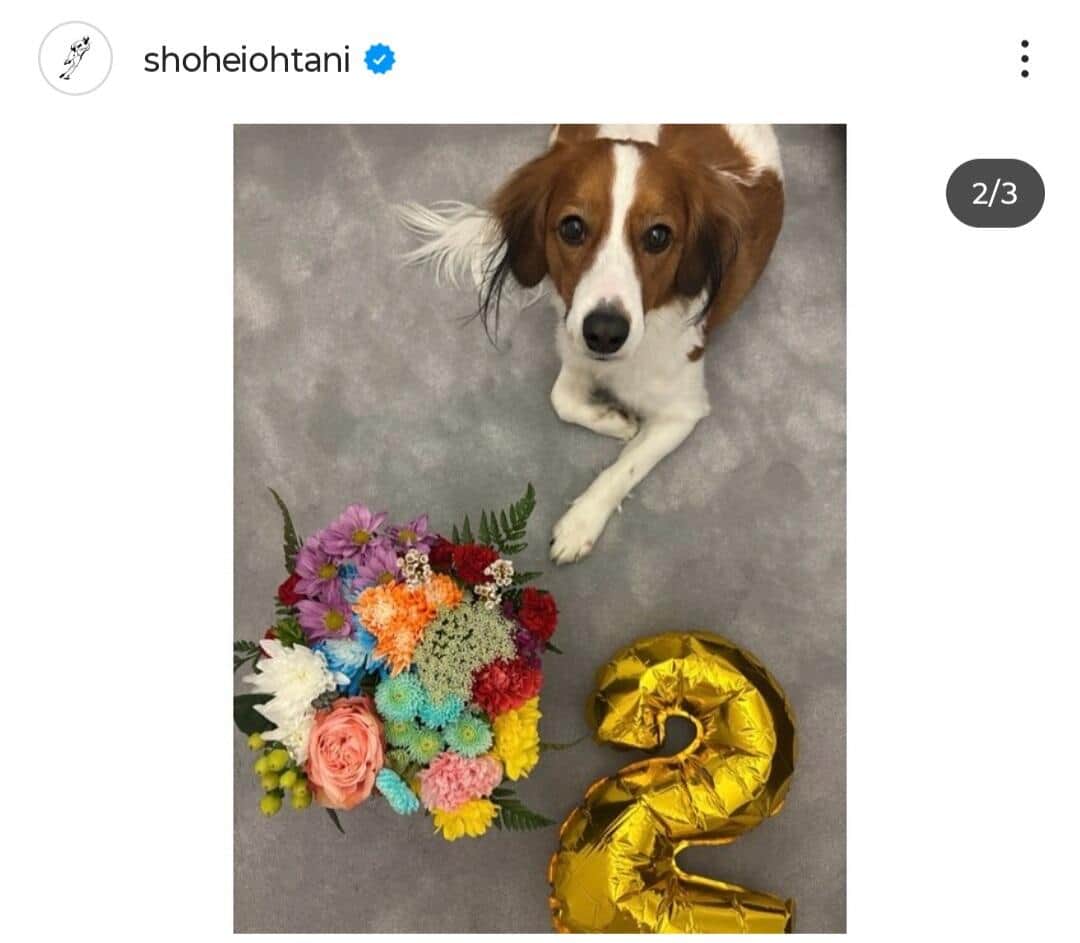 大谷翔平選手のインスタグラム（＠shoheiohtani）より