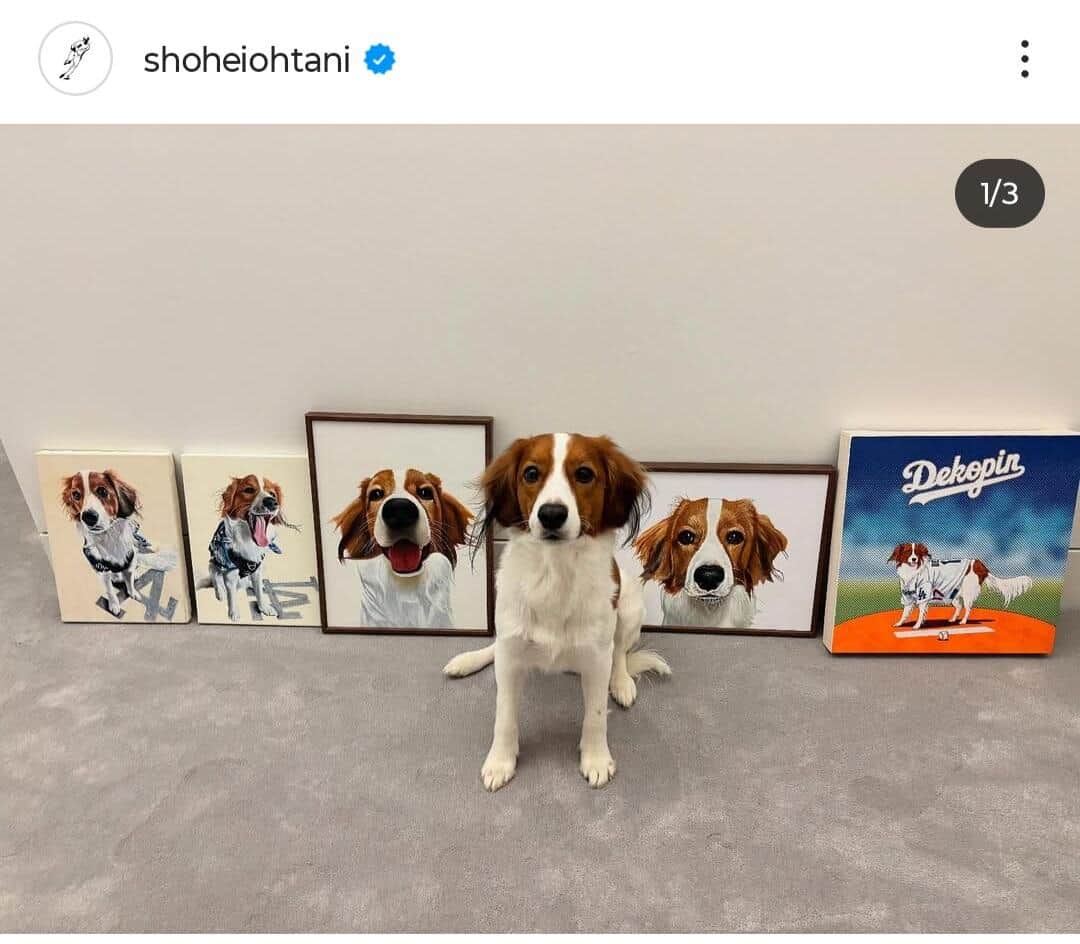大谷翔平選手のインスタグラム（＠shoheiohtani）より