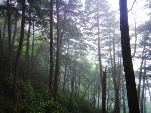 古舘伊知郎、容疑者の顔「なんで出さない」と怒る　「いろんな悪事を働く、この人間が許せない」