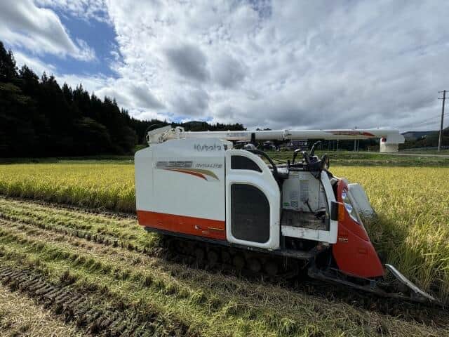 高橋洋一の霞ヶ関ウォッチ　まだまだ下がらぬコメの値段、カギはJA抜きの「備蓄米直接販売」だ