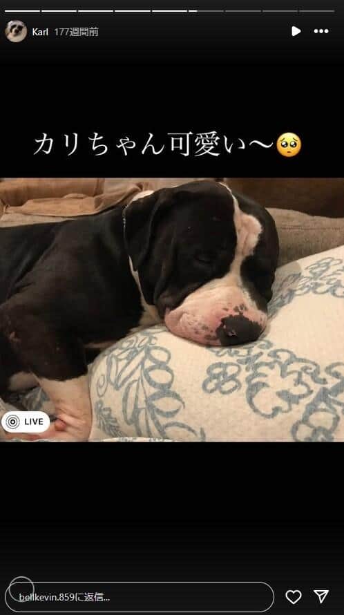 後藤祐樹氏のインスタグラム（＠bellkevin.859）より