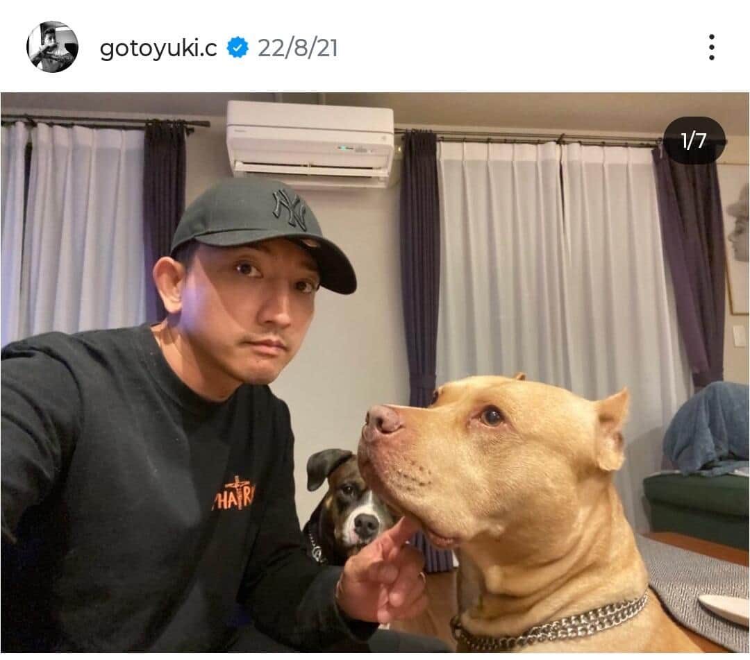 ゴマキ弟・後藤祐樹、愛犬ピットブルが「脾臓がん」に　全摘手術成功も...「数日間は予断を許さない」