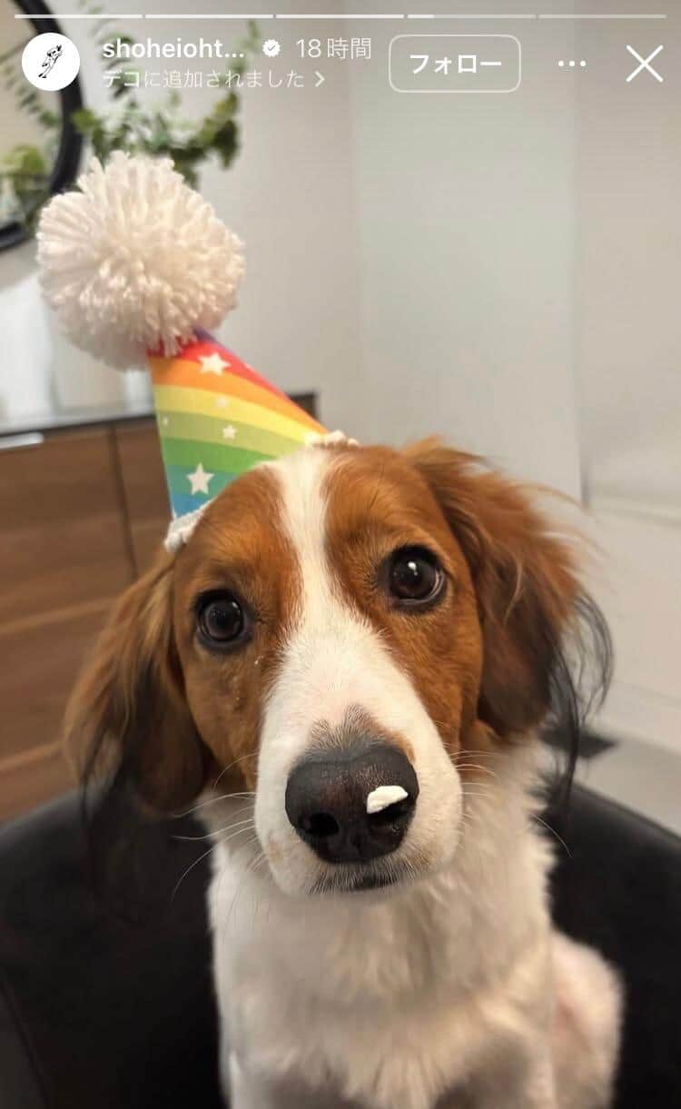 大谷翔平選手のインスタグラム（＠shoheiohtani）より