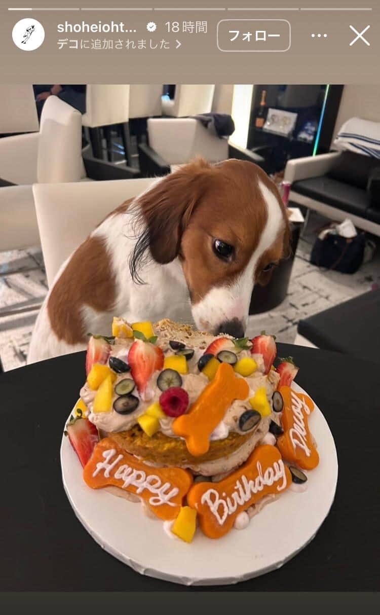 大谷翔平選手のインスタグラム（＠shoheiohtani）より