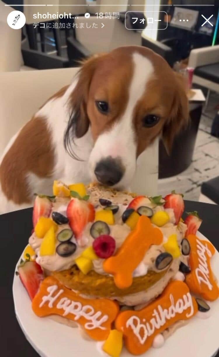 大谷翔平選手のインスタグラム（＠shoheiohtani）より